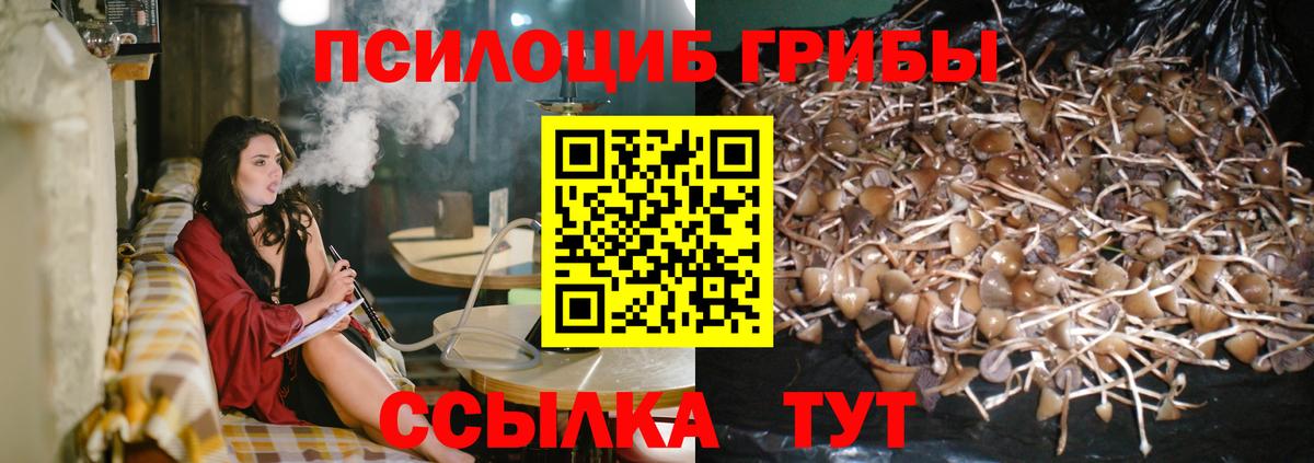 Псилоцибиновые грибы Cubensis  Вход с VPN  Туапсе 
