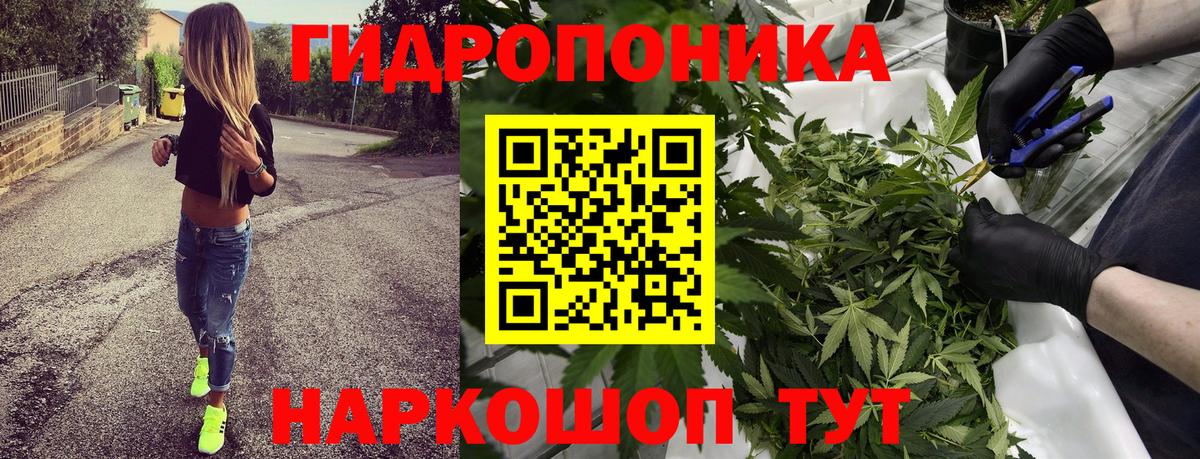 Бошки Шишки MAZAR  Шишки марихуана планчик  Бошки марихуана план  Туапсе  Вход с VPN 